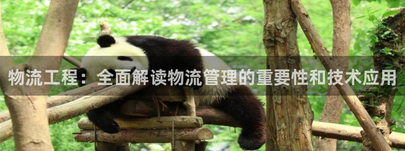 28圈怎么注册
