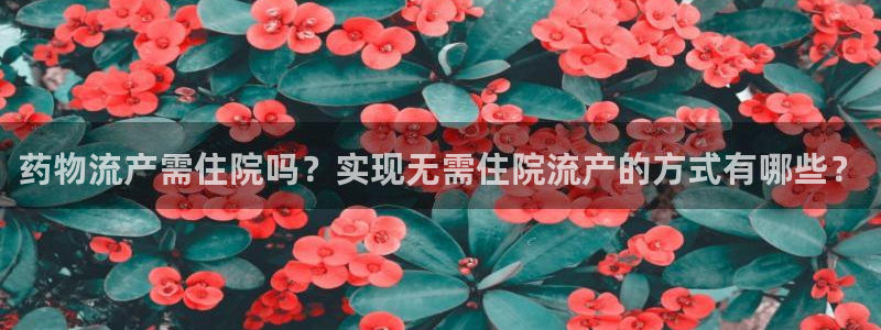 28圈充值方式