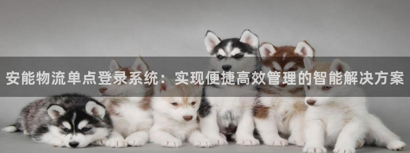 28圈注册网站加拿大