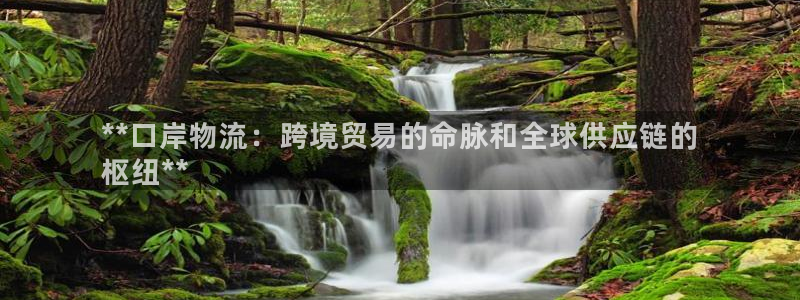 28圈软件有什么用