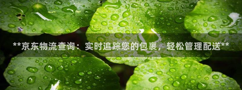 28圈ip被限制怎么解决