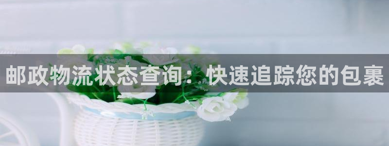 28圈注册网址