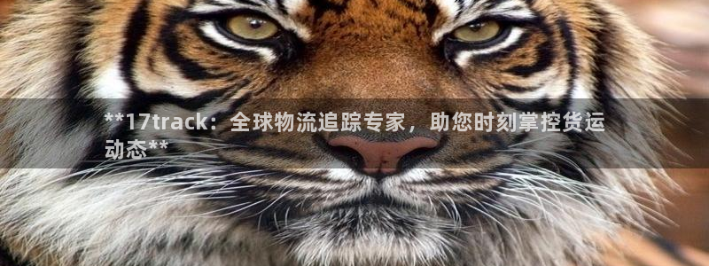 自行车28圈是什么意思
