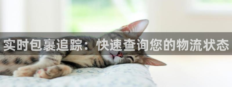 28圈圈助手：实时包裹追踪：快速查询