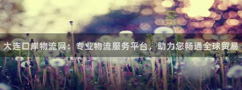 28圈麻将胡了