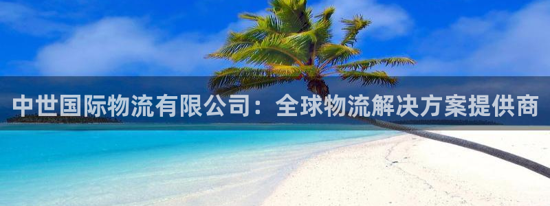 28圈加拿大官网：中世国际物流有限公