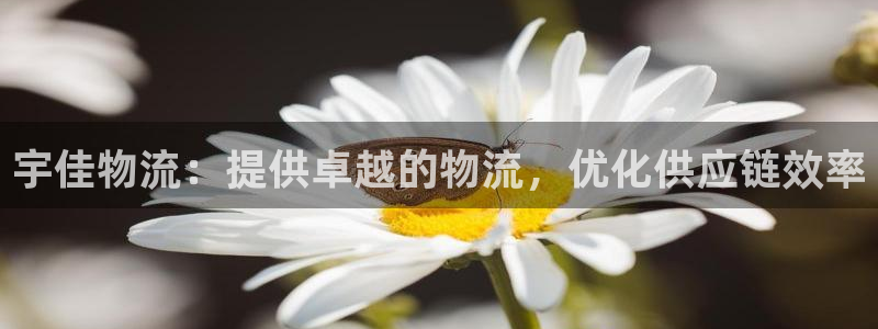 28圈注册教程
