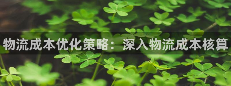 28圈APP是干什么的：物流成本优化