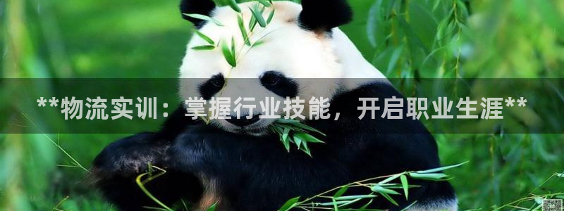 28圈注册登录链接