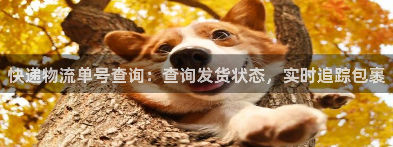 28圈初始资金密码是什么