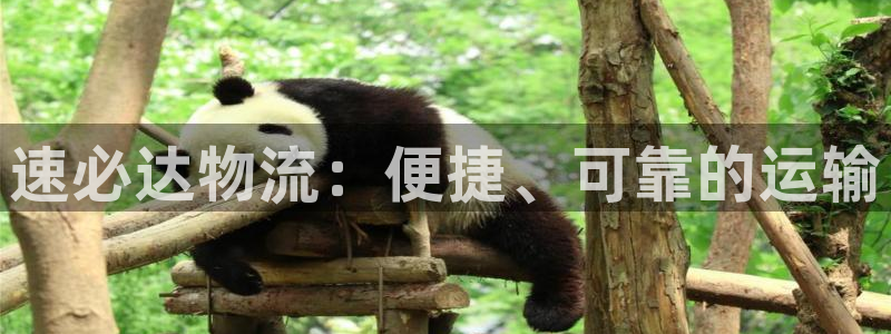 28圈分分28输了能不能退