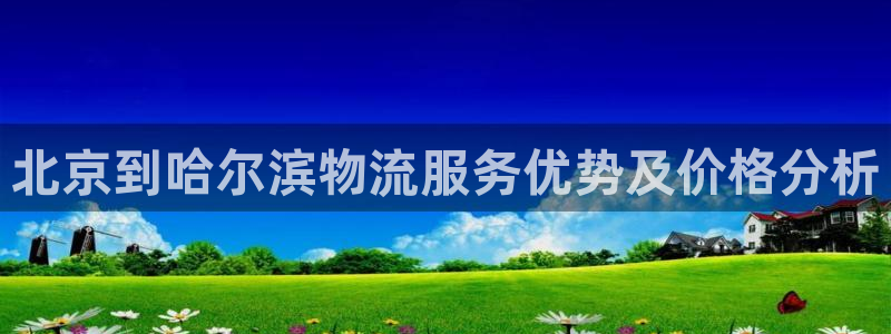 28圈加拿大是什么