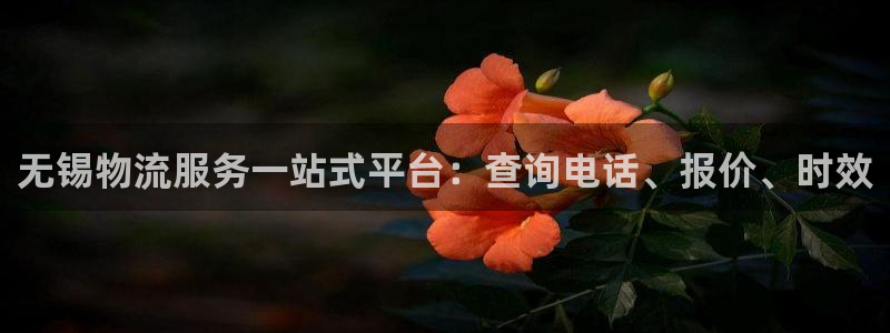 28圈加拿大怎么玩：无锡物流服务一站