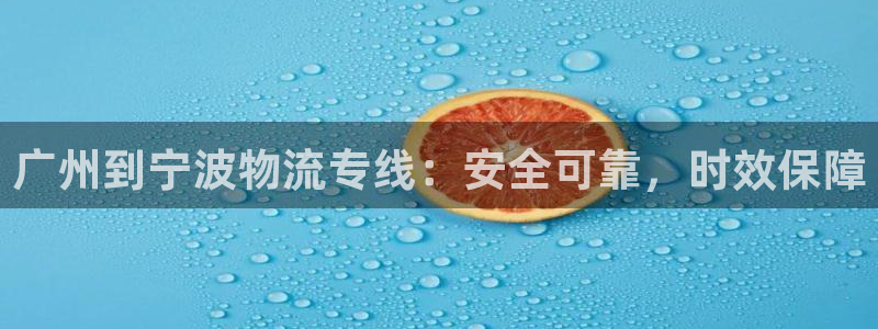 28圈加拿大官网