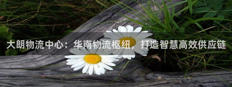 28圈加拿大6.0