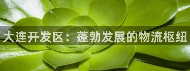 28圈官方官网