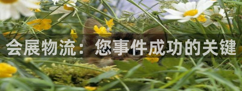 28圈辅助