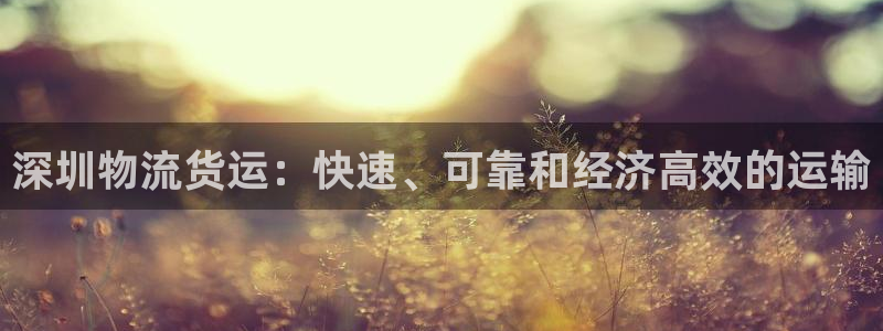 28圈注册问一问：深圳物流货运：快速