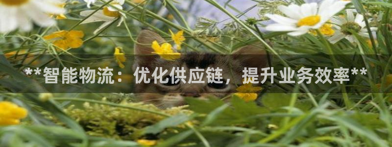 28圈怎么注册下载：**智能物流：优