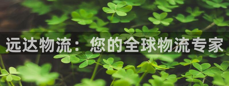 28圈哪个最赚钱