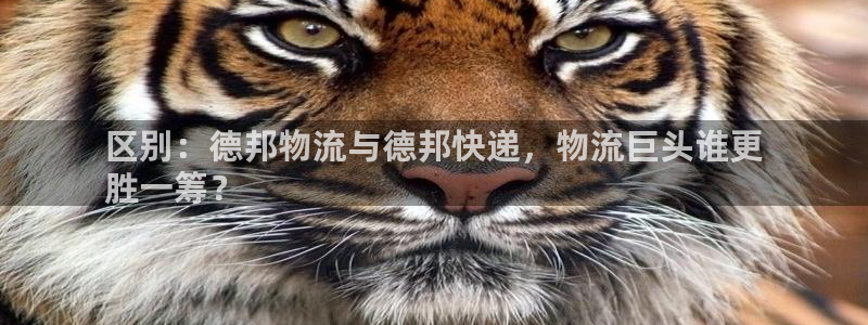 28圈游戏官网平台：区别：德邦物流与