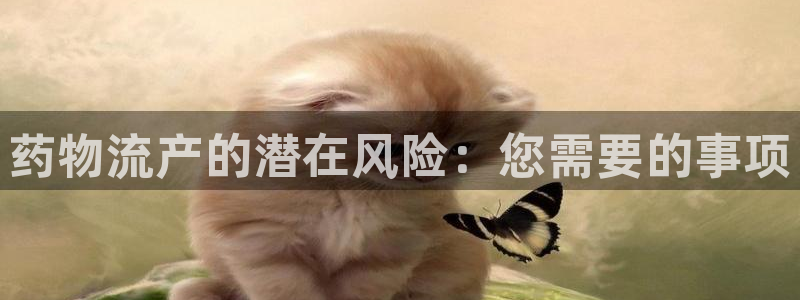 28圈官方