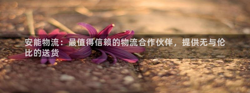 28圈官网开奖结果预测查询
