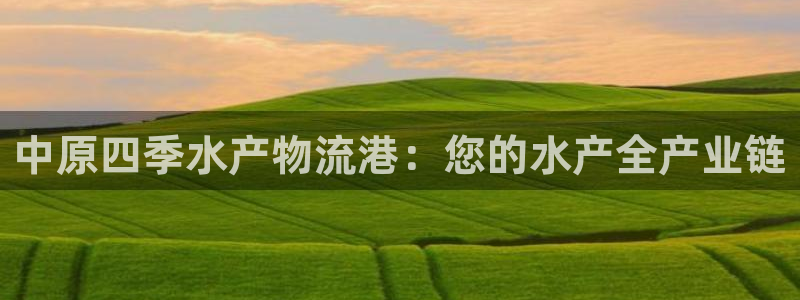 28圈激活码