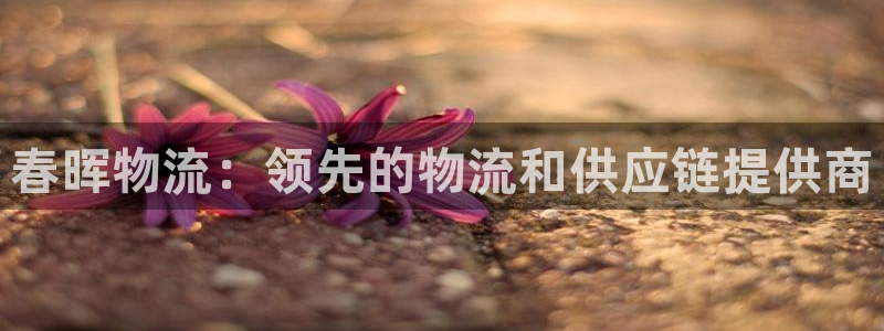 28圈加拿大模拟器