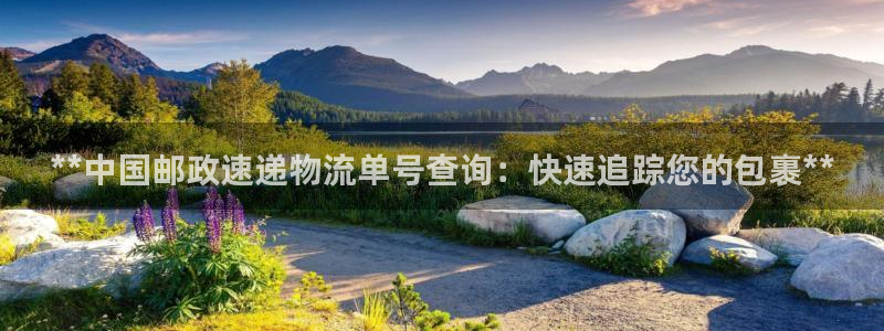28圈初始资金密码在哪里改