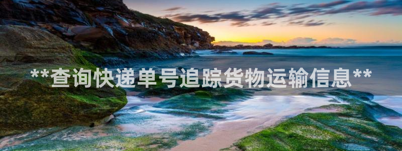 28圈新用户怎么注册：**查询快递单