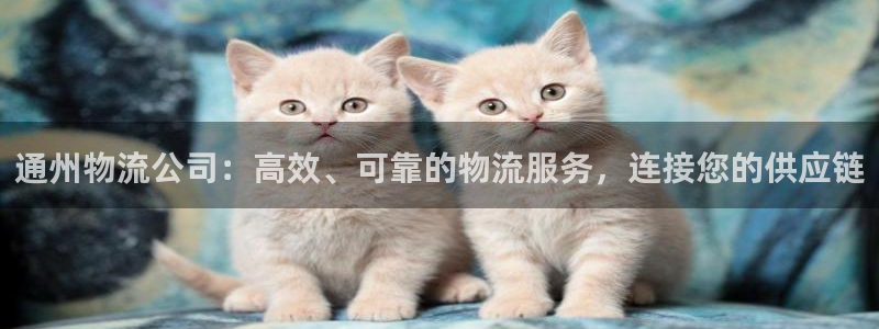 28圈pc预测