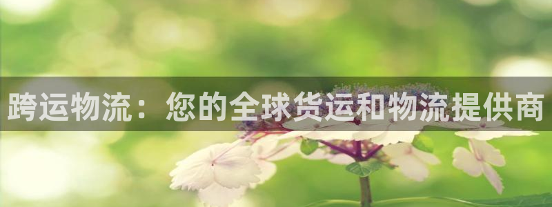 28圈官网平台下载