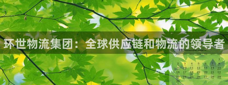 28圈.ccmpc28