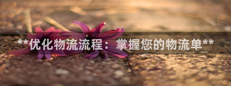 28圈最稳打法
