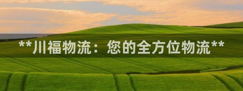 28圈里的财神