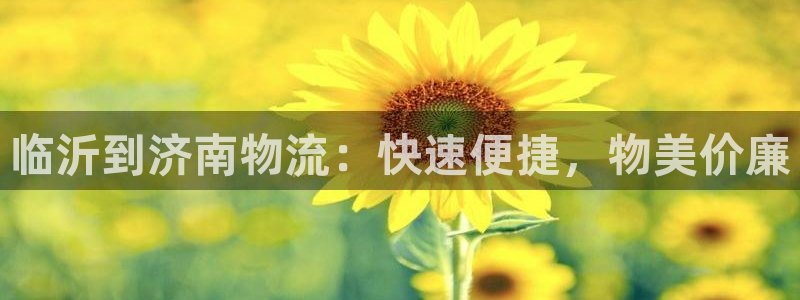 28圈充值不处理怎么办