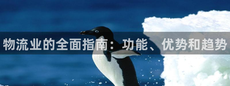28圈官方网站