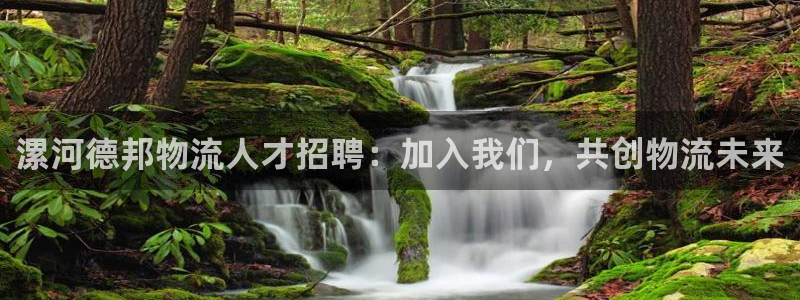 28圈注册网站多少钱一个：漯河德邦物
