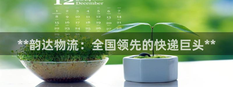 28圈软件总是闪退怎么回事：**韵达