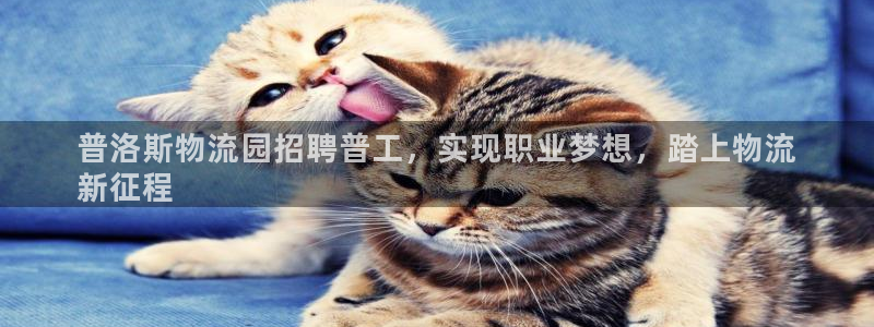 28圈加拿大在线预测