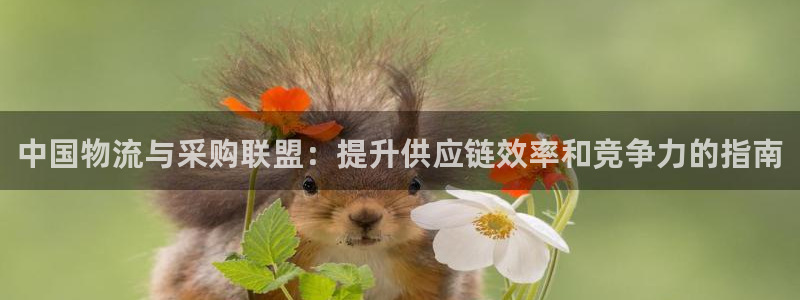 28圈.ccmo