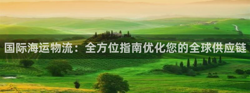 28圈加拿大技巧：国际海运物流：全方