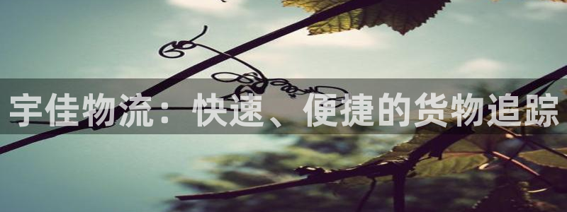 28圈官方官网：宇佳物流：快速、便捷