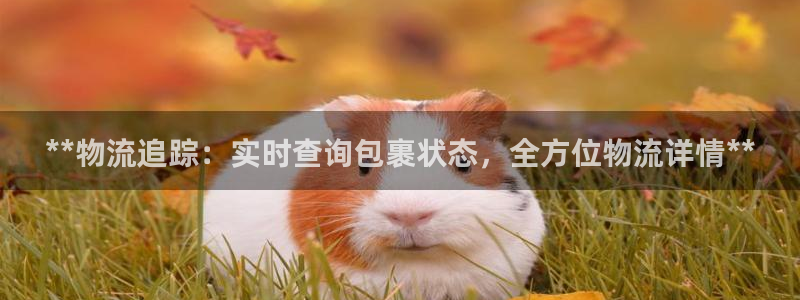 28圈注册链接教程：**物流追踪：实