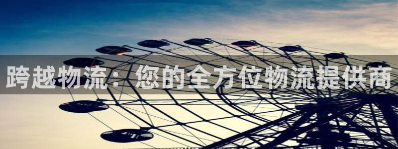 28圈比特28预测在线预测：跨越物流
