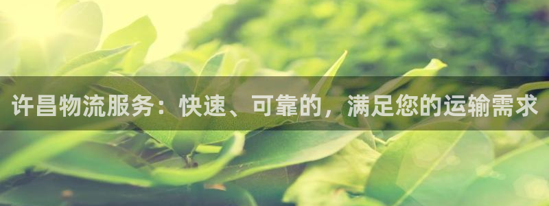 28圈模拟器下载