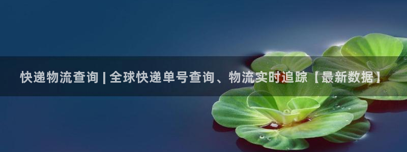28圈.ccm南宫