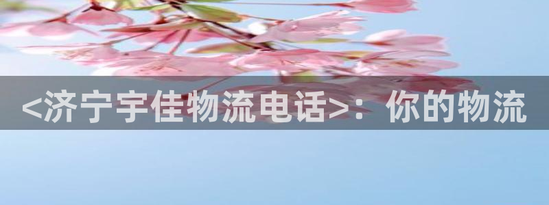 28圈加拿大是什么意思