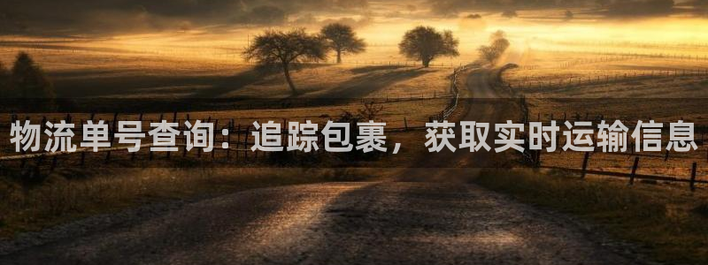 28圈ip被限制怎么解决